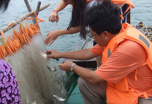 2007海上捕魚(yú)收網(wǎng).jpg